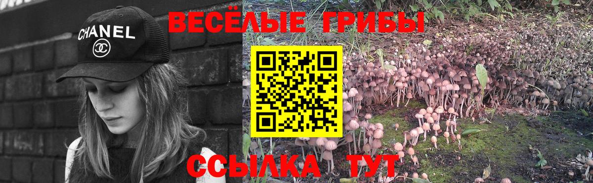 Псилоцибиновые грибы мухоморы Сегежа